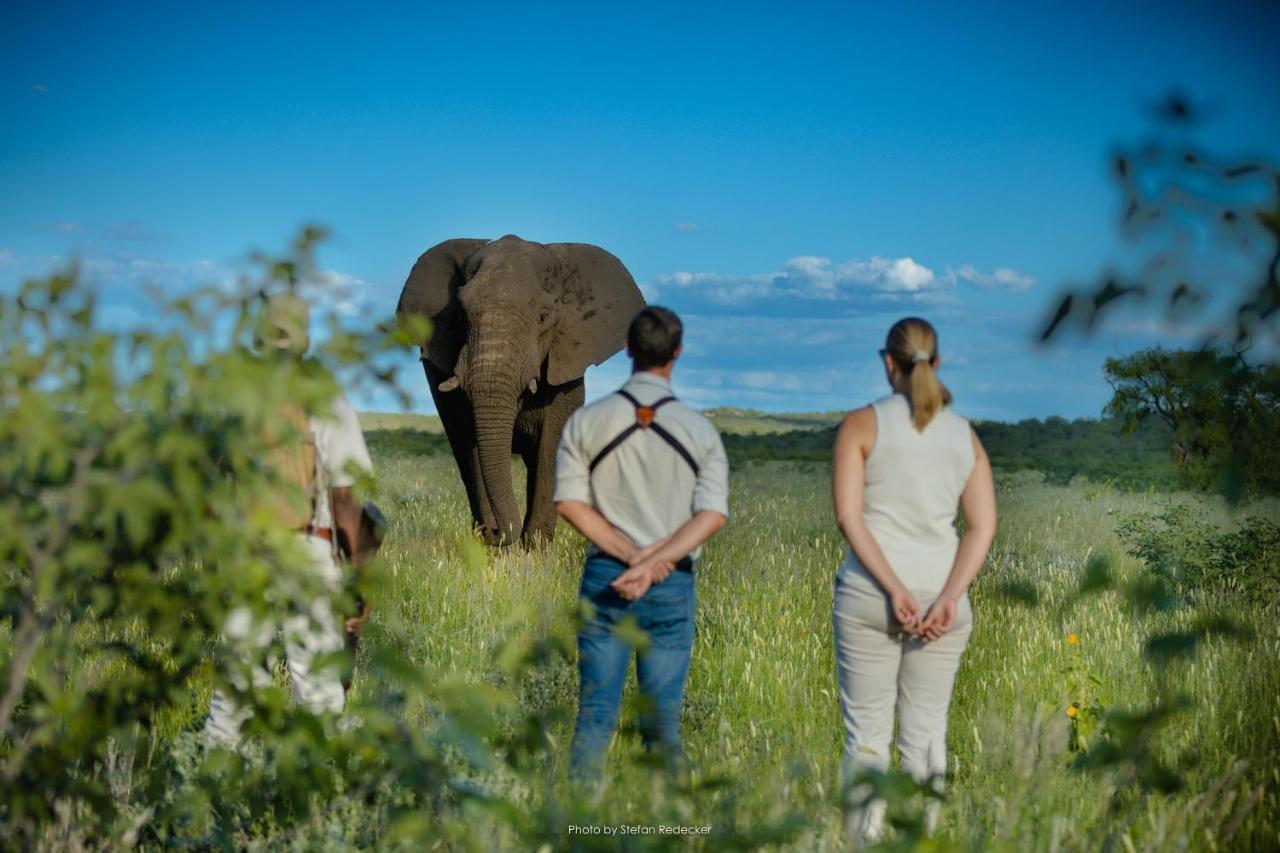 Vila Anderssons At Ongava Okaukuejo Exteriér fotografie