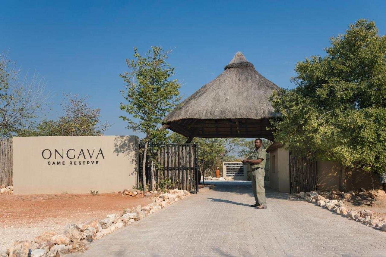Vila Anderssons At Ongava Okaukuejo Exteriér fotografie